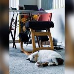 Ameriwood Home Dakota Space Saving L Desk With Hutch