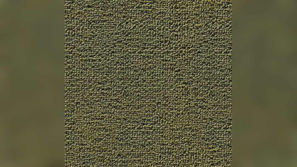 Backrooms Floor Texture