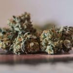 Cannabis Odor Eliminating Home Storage Solutions