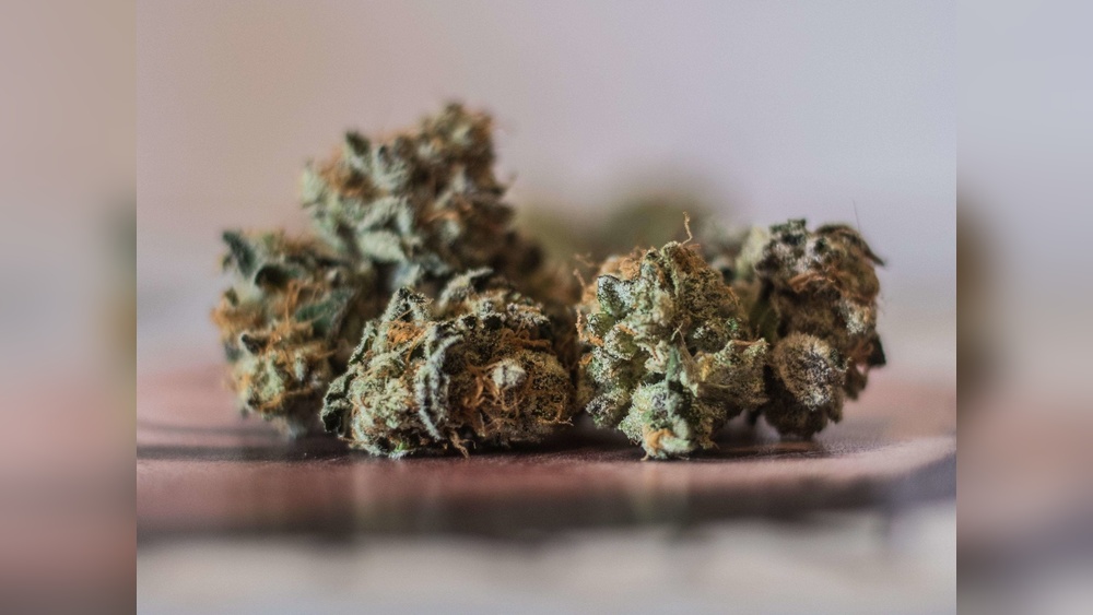 Cannabis Odor Eliminating Home Storage Solutions