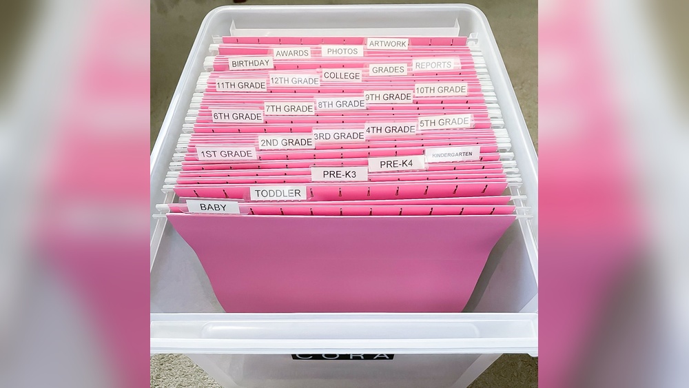 Document Storage Solutions for Home