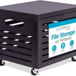 Easiest Flie Storage Home Solution