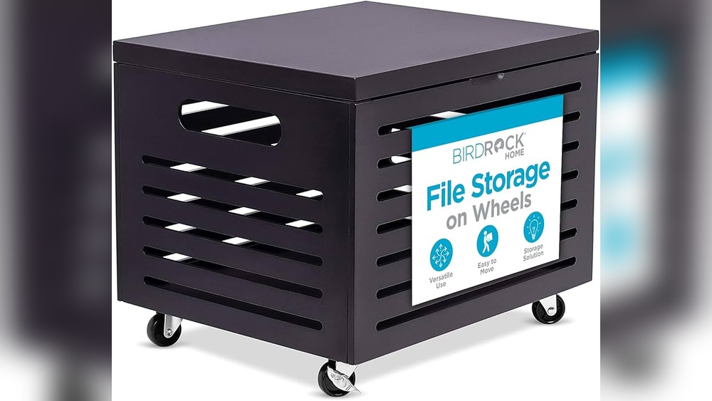 Easiest Flie Storage Home Solution