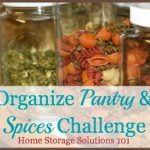 Home Storage Solutions 101 Pantry