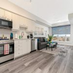 Luxury Kitchen Cabinets Kitchener