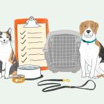Pet Emergency Preparedness