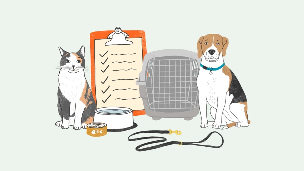 Pet Emergency Preparedness
