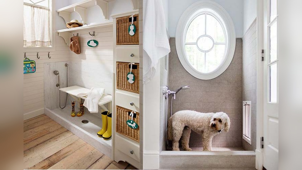 Pet-Friendly Home Design Ideas