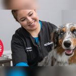 Pet Smart Kitchener