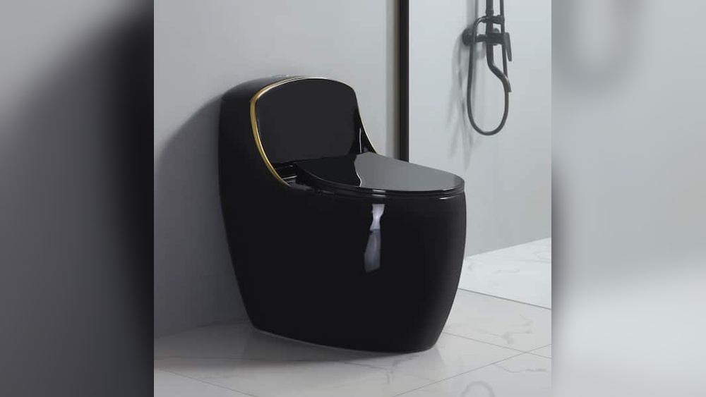 Space Saving Toilet Home Depot
