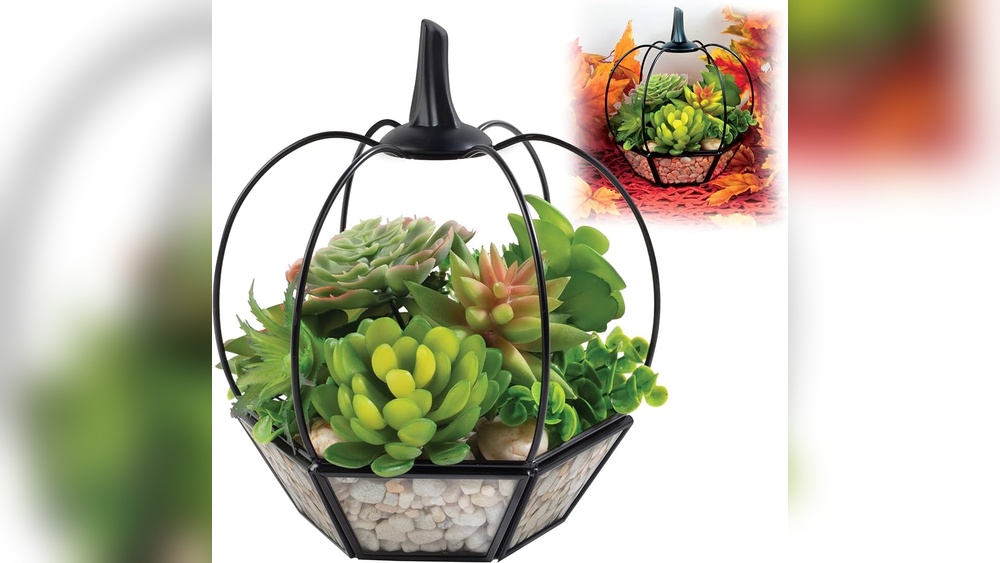 Trims Seasonal Home Decor
