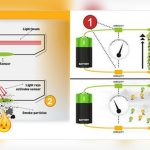 How a Smoke Detector Works