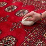 How Can I Get Pet Urine Stains off Orentil Rug