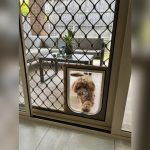 How Do You Install Pet Door in Screen