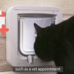 How Does a Microchip Pet Door Work