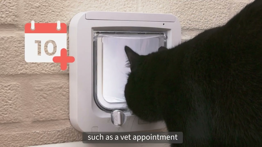 How Does a Microchip Pet Door Work
