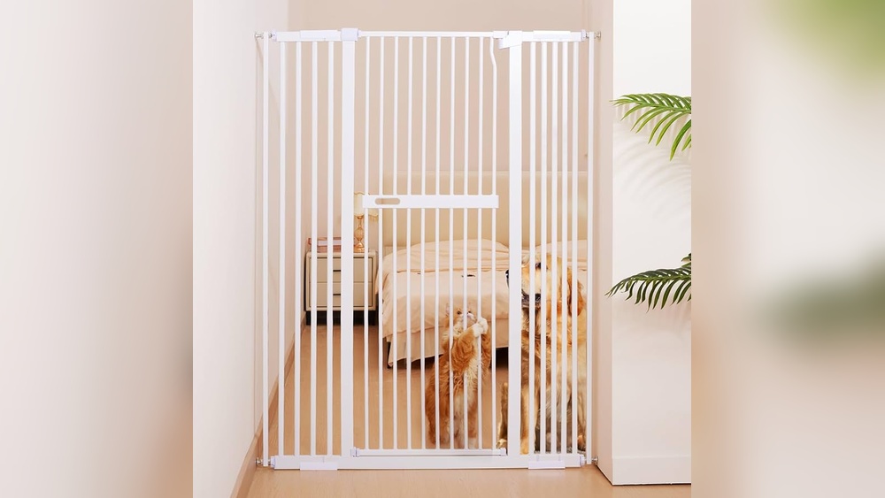 How High Should a Pet Gate Be