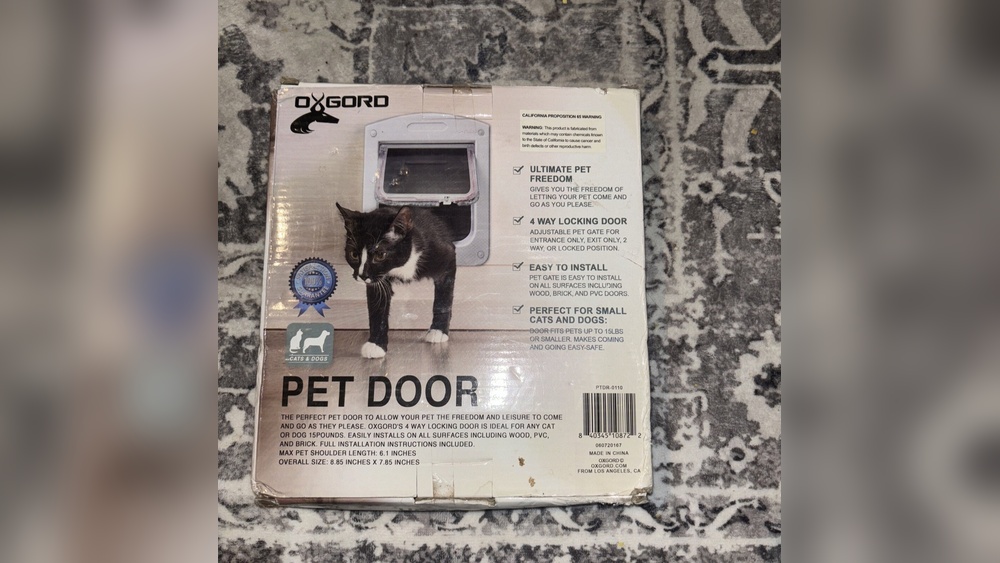 How Many Inches Up Should My Pet Door Be