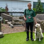 How Many Pets Does Bill Gates Have
