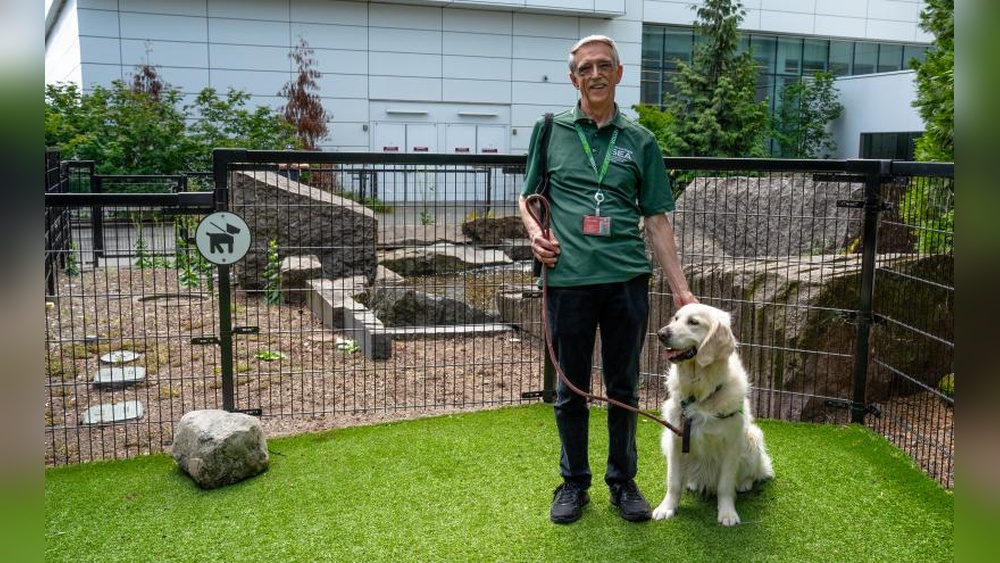 How Many Pets Does Bill Gates Have