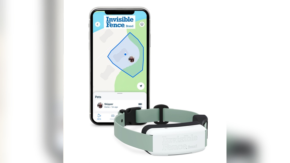 How Much Does Invisible Fence Pet Door Cost