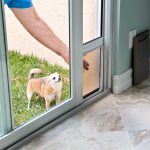 How Much to Install a Pet Door