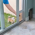 How Much to Install a Pet Door in Glass