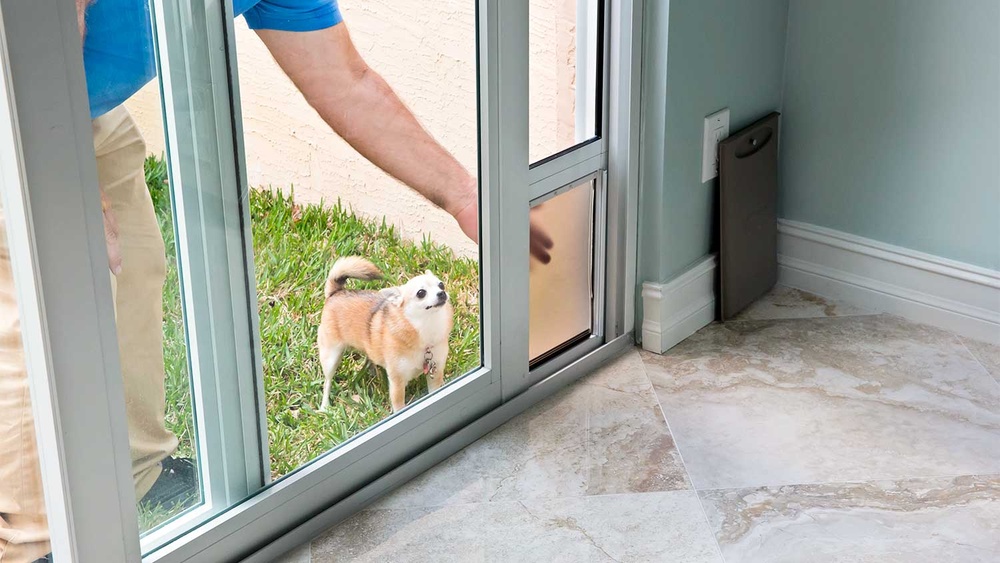 How Much to Install a Pet Door