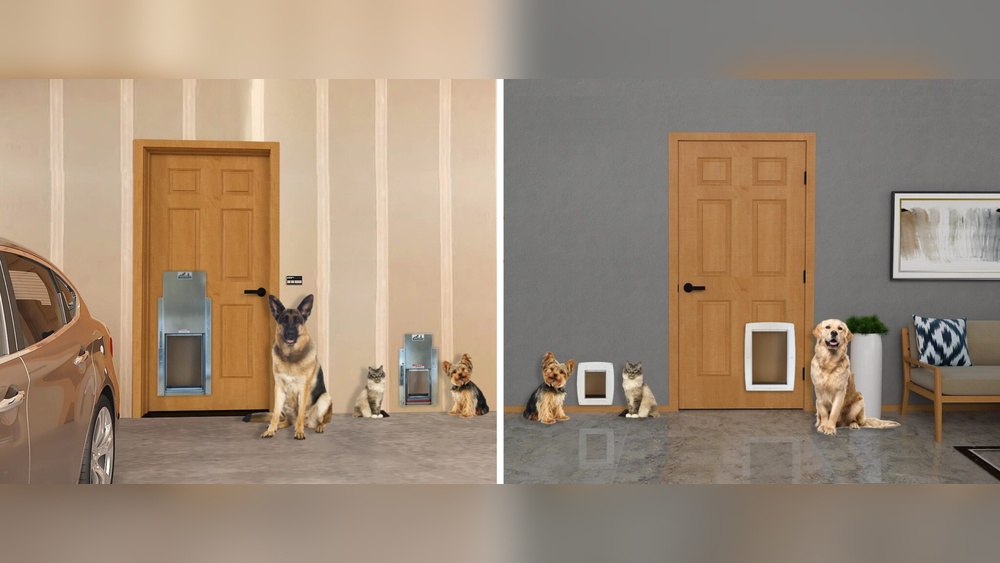 How Safe are Pet Doors