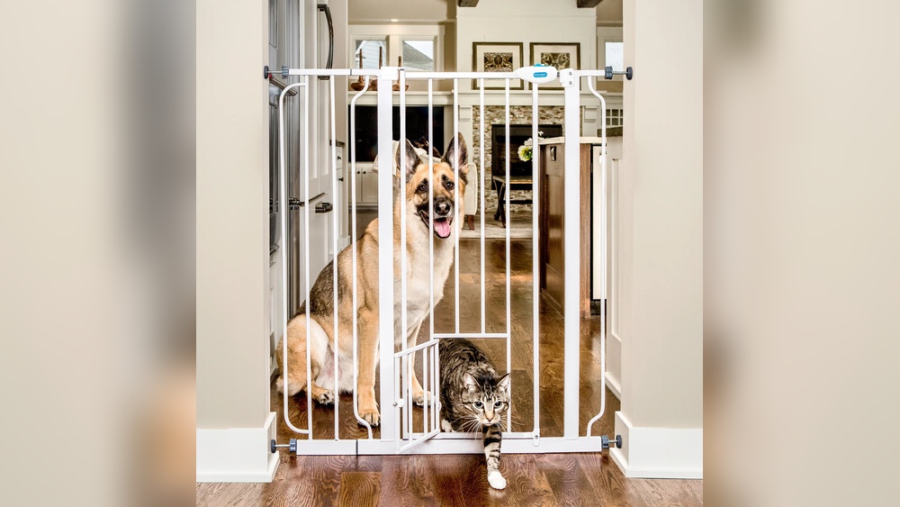 How Talll Do Pet Gates Come