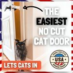 How to Ad a Pet Door