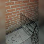 How to Attach Pet Gate to Wall