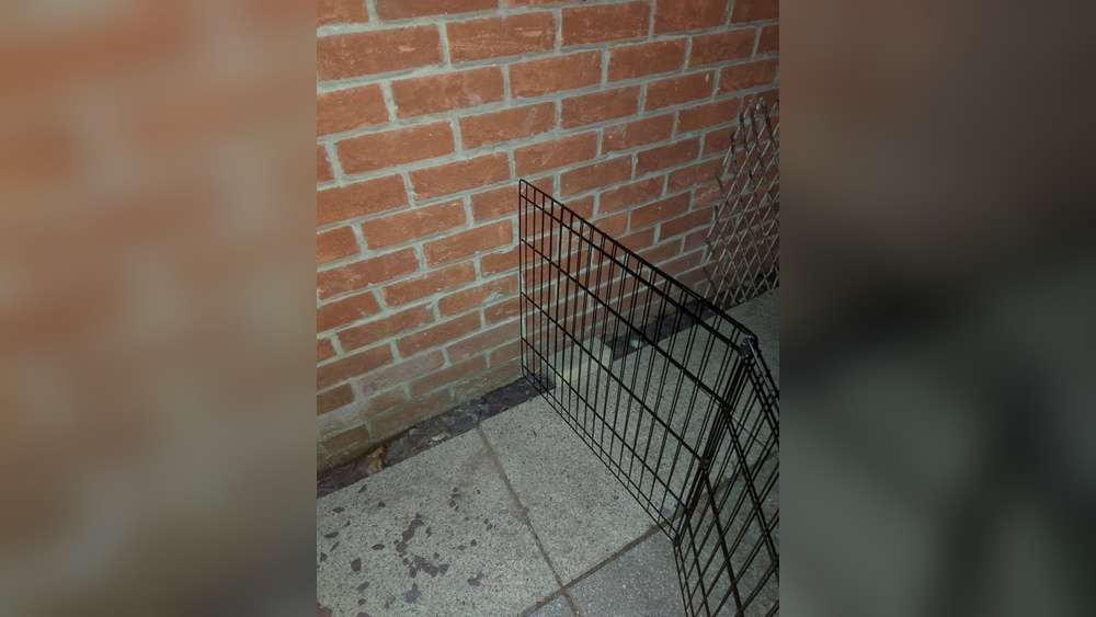 How to Attach Pet Gate to Wall