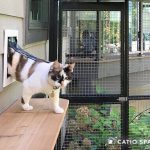 How to Attach Pet Screen Door to Outdoor Cat Enclosure