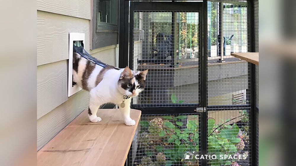 How to Attach Pet Screen Door to Outdoor Cat Enclosure