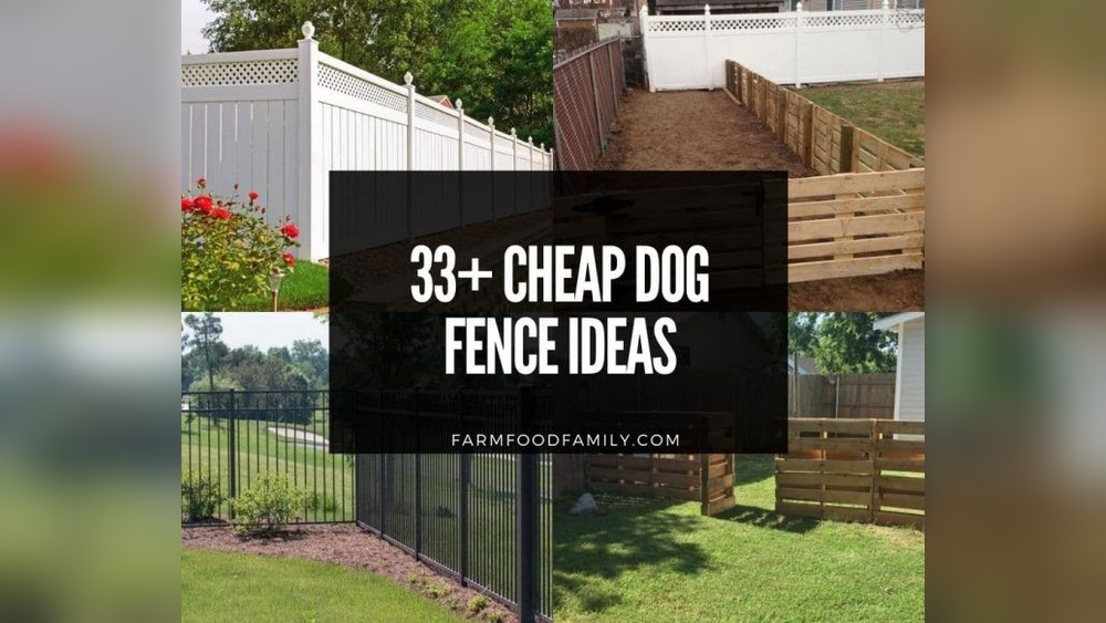 How to Build a Low-Cost Pet Gate