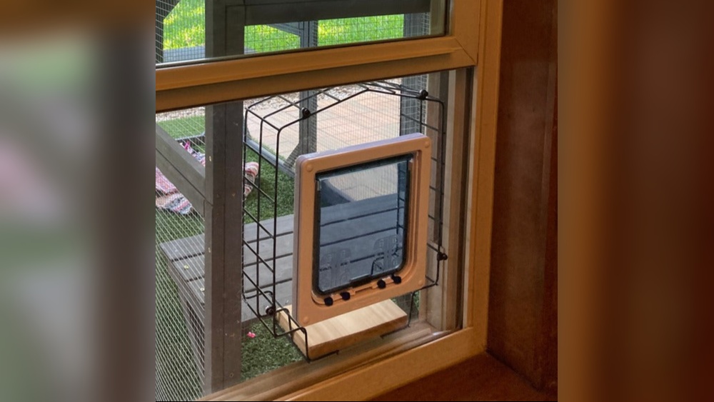 How to Build a Pet Door Tunnel