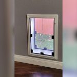 How to Buy a Pet Door in Wall