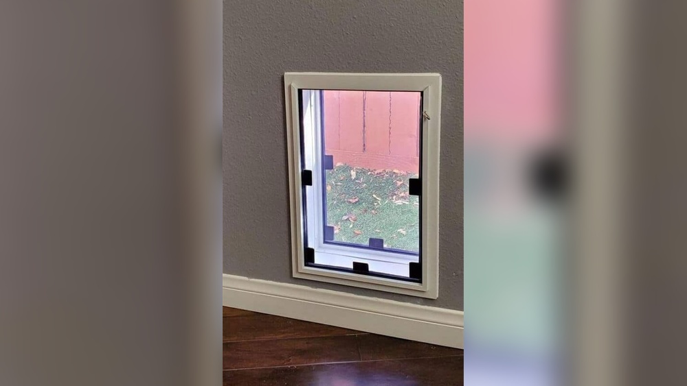 How to Buy a Pet Door in Wall