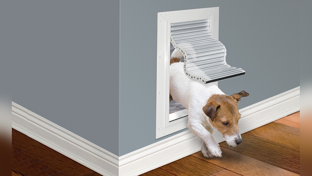How to Choose a Pet Door