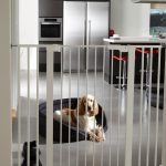 How to Choose a Pet Gate