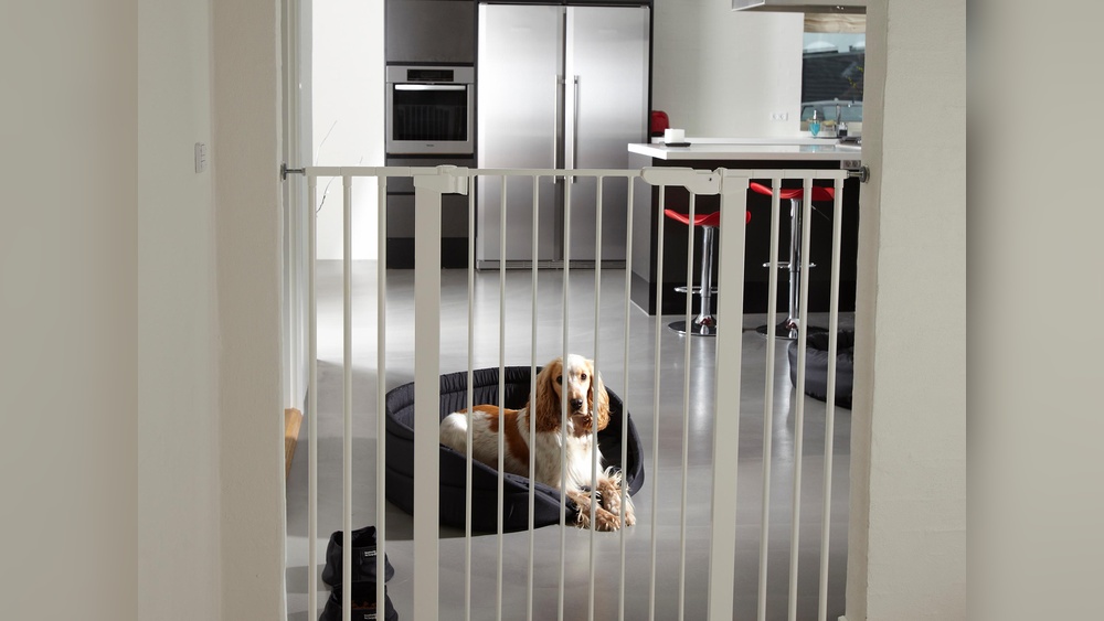 How to Choose a Pet Gate