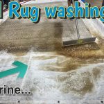 How to Clean a Rug Pet Urine