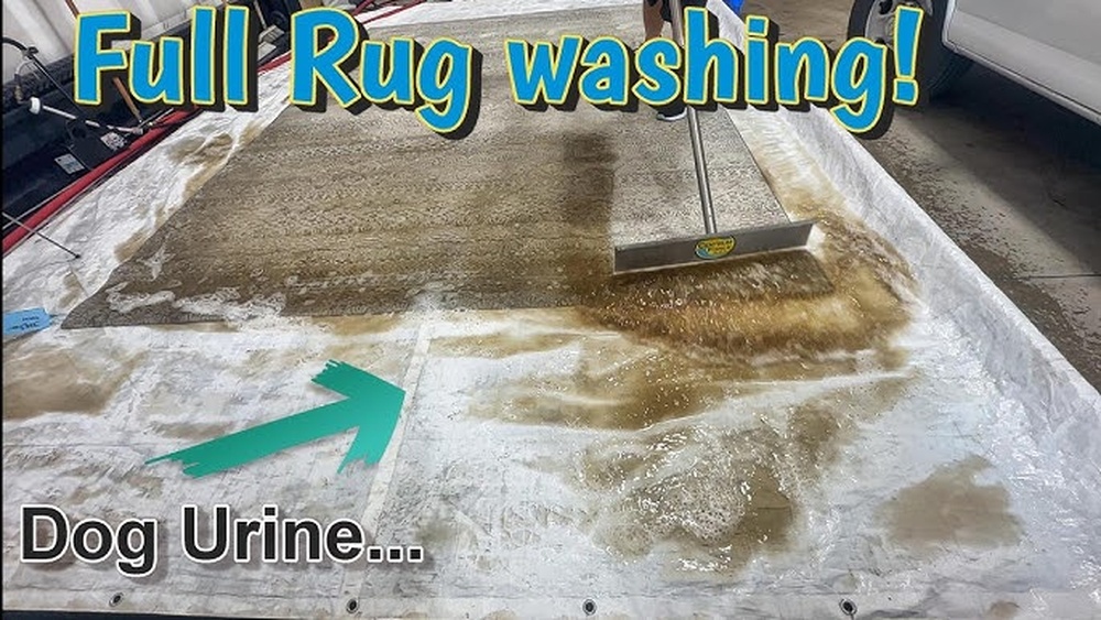 How to Clean a Rug Pet Urine