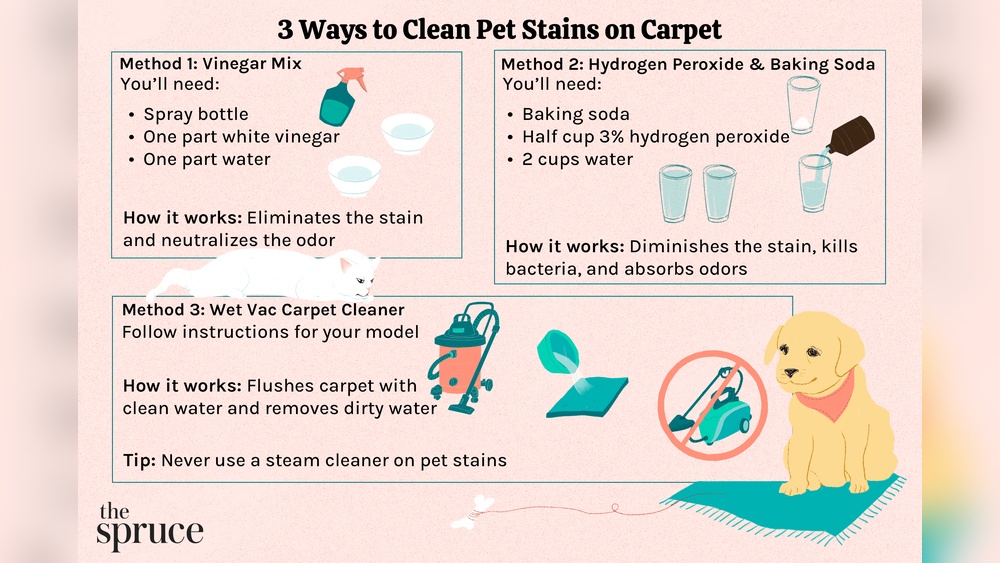 How to Clean an Area Rug With Pet Stains