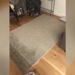 How to Clean Area Rugs Pet Urine