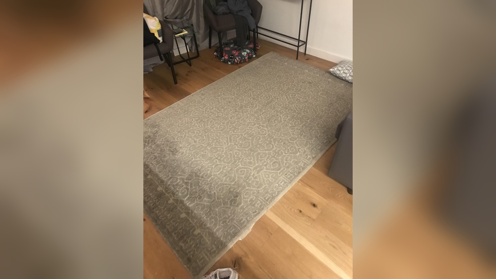 How to Clean Area Rugs Pet Urine
