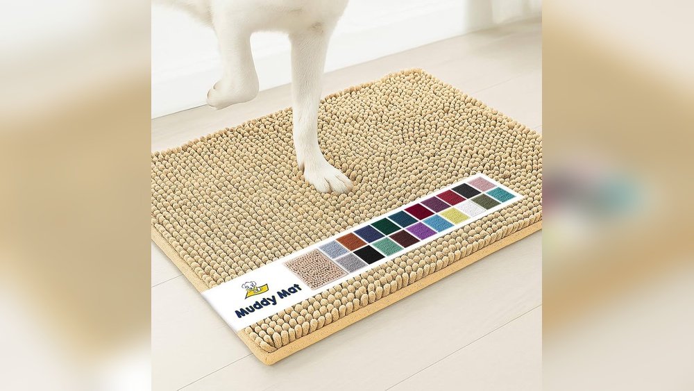 How to Clean Ideal Pet Door