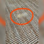 How to Clean Jute Rug Pet Stain