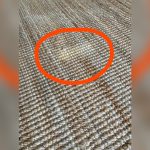 How to Clean Pet Stains from a Sisal Rug